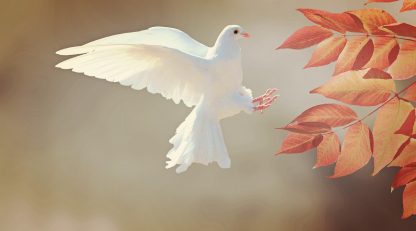 Libre de tout ?