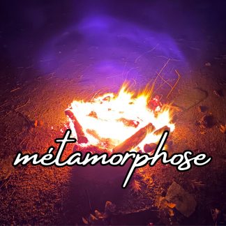 🦋 MÉTAMORPHOSE 🦋 jeudi 20 novembre à 20 heures